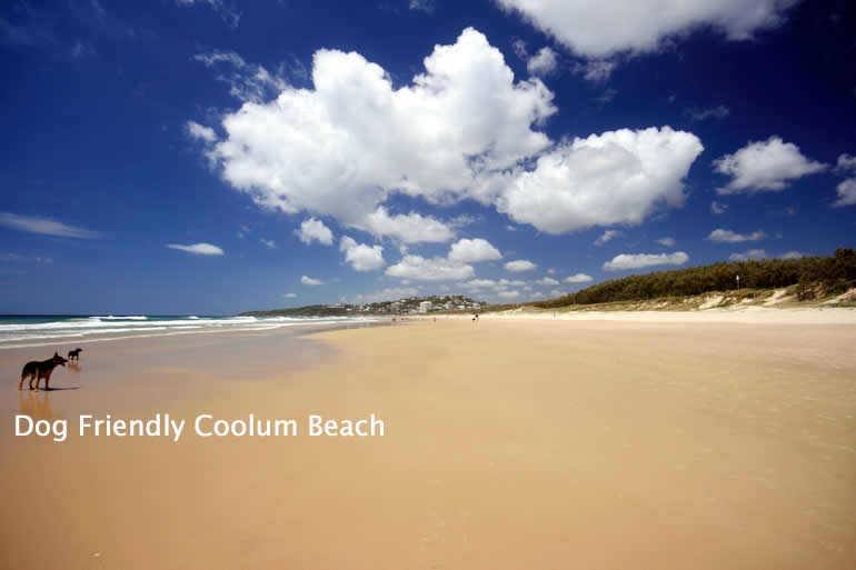 Coolum Beach Sunrise