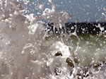 surfy foam